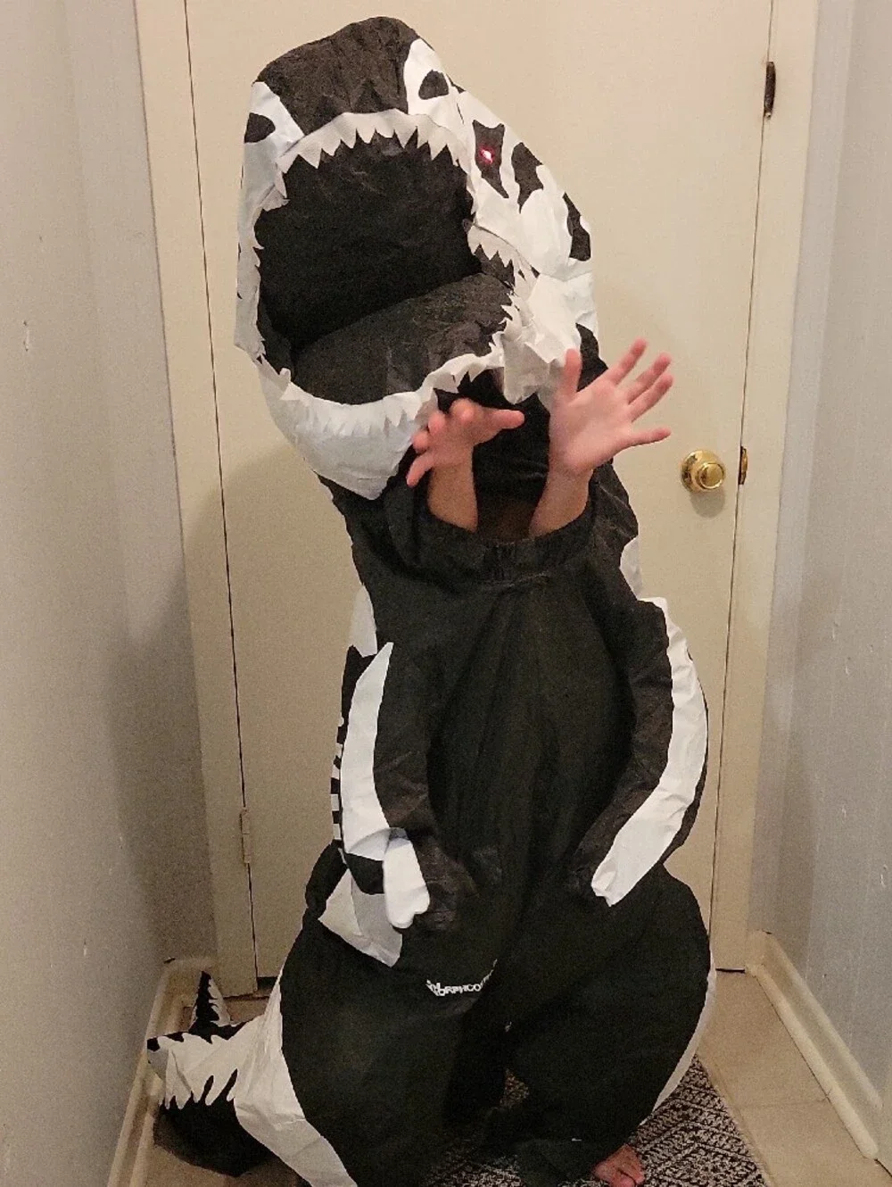 Kids Black & White Skeleton T-Rex Inflatable Costume